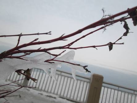 10393867_946644565345978_8410433016764182099_n