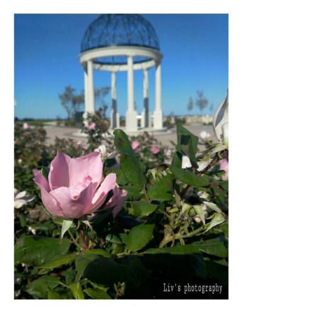 10449949_870304396313329_3804204248631443153_n