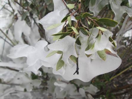 11001742_946644418679326_2594509526851318302_n