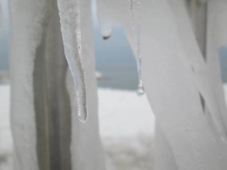 11024601_946644422012659_728709007749875040_n