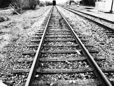 947229_248877831918937_113411274_n