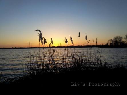 11173394_982657611744673_7405948929302661104_n