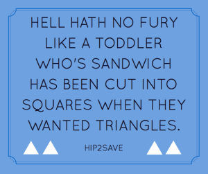 11846543_10153160638248301_485695465239961738_n