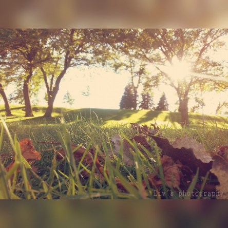 © 2015 Liv's Photography