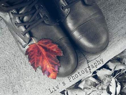 12011154_1062634610413639_2656757827780828317_n