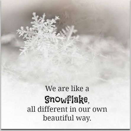 d517c76b9f1bbedb384896abc7a8ffa0