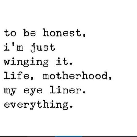 10724901_419636278233794_1785250542_n