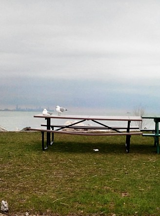 IMG_20160330_165044_278