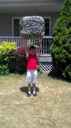 13413099_10209557014111795_3898550286409813989_n