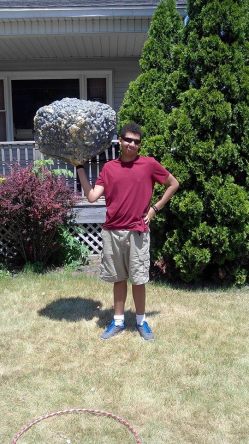 13413521_10209557013871789_5320367126438886079_n